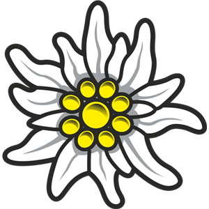 Edelweiss PNG-66287